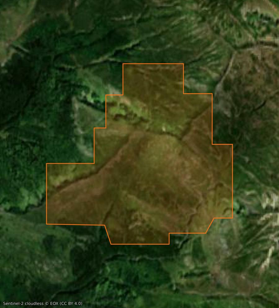 Outline of the burned area near Etsaut, drawn over satellite imagery