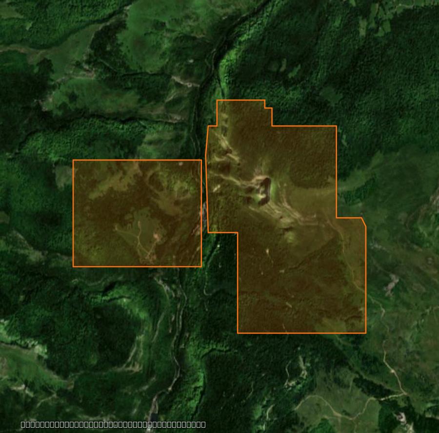 Outline of the burned area near Laruns, drawn over satellite imagery