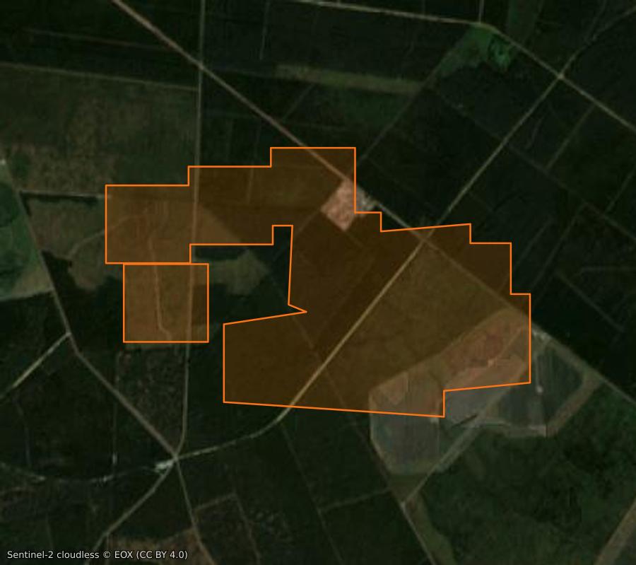 Outline of the burned area near Saint-Paul-en-Born, drawn over satellite imagery