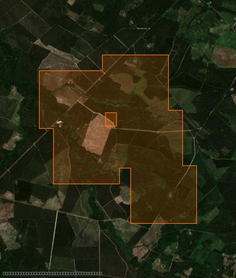 Outline of the burned area near Houeillès, drawn over satellite imagery