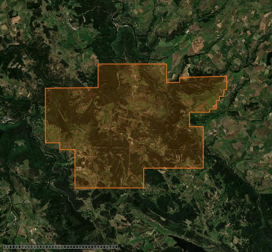 Outline of the burned area near Saint Bonnet-Laval, drawn over satellite imagery