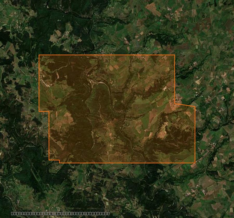 Outline of the burned area near Saint Bonnet-Laval, drawn over satellite imagery