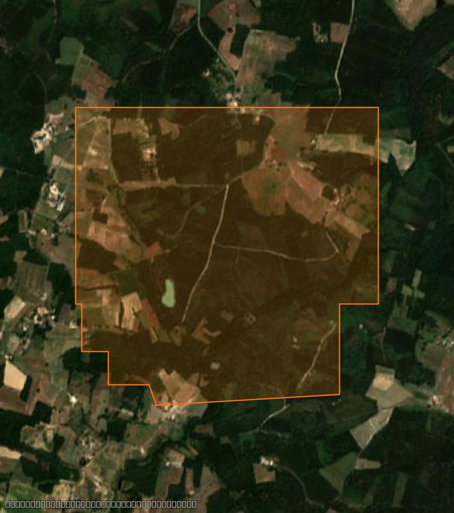 Outline of the burned area near Saint-Palais-de-Négrignac, drawn over satellite imagery