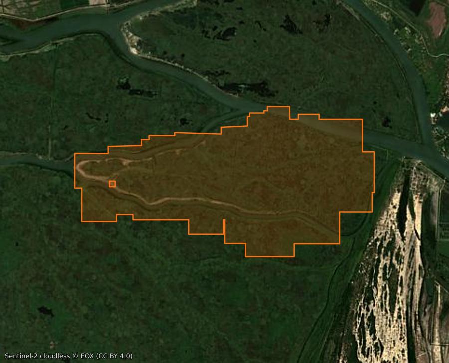 Outline of the burned area near Chilia Veche (RO), drawn over satellite imagery
