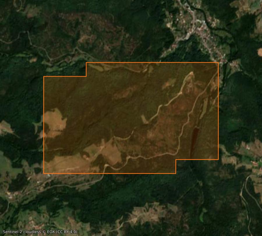 Outline of the burned area near Sail-sous-Couzan, drawn over satellite imagery