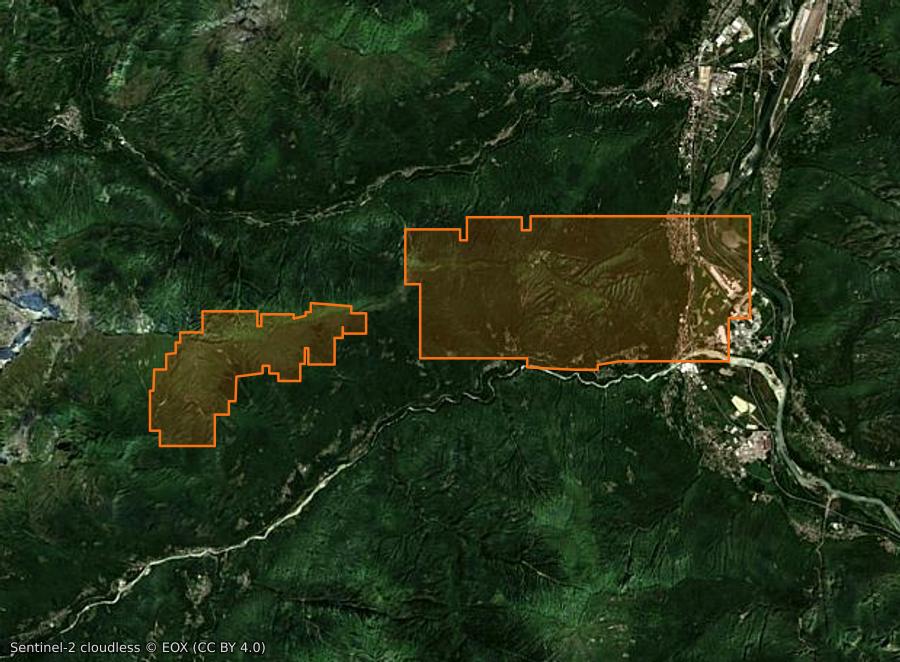 Outline of the burned area near Piedimulera (IT), drawn over satellite imagery