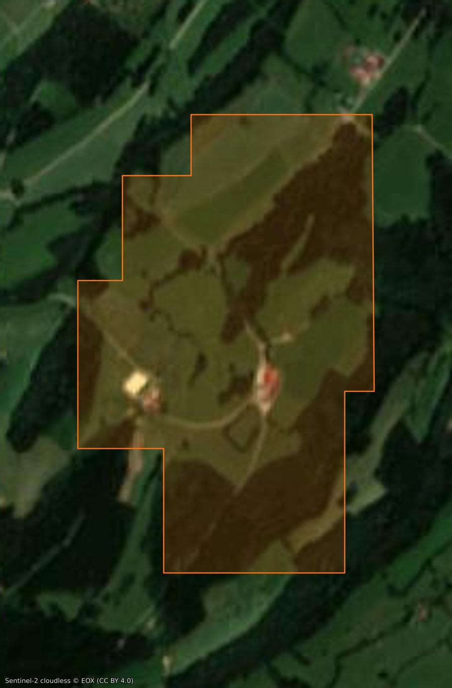 Outline of the burned area near Vennes, drawn over satellite imagery