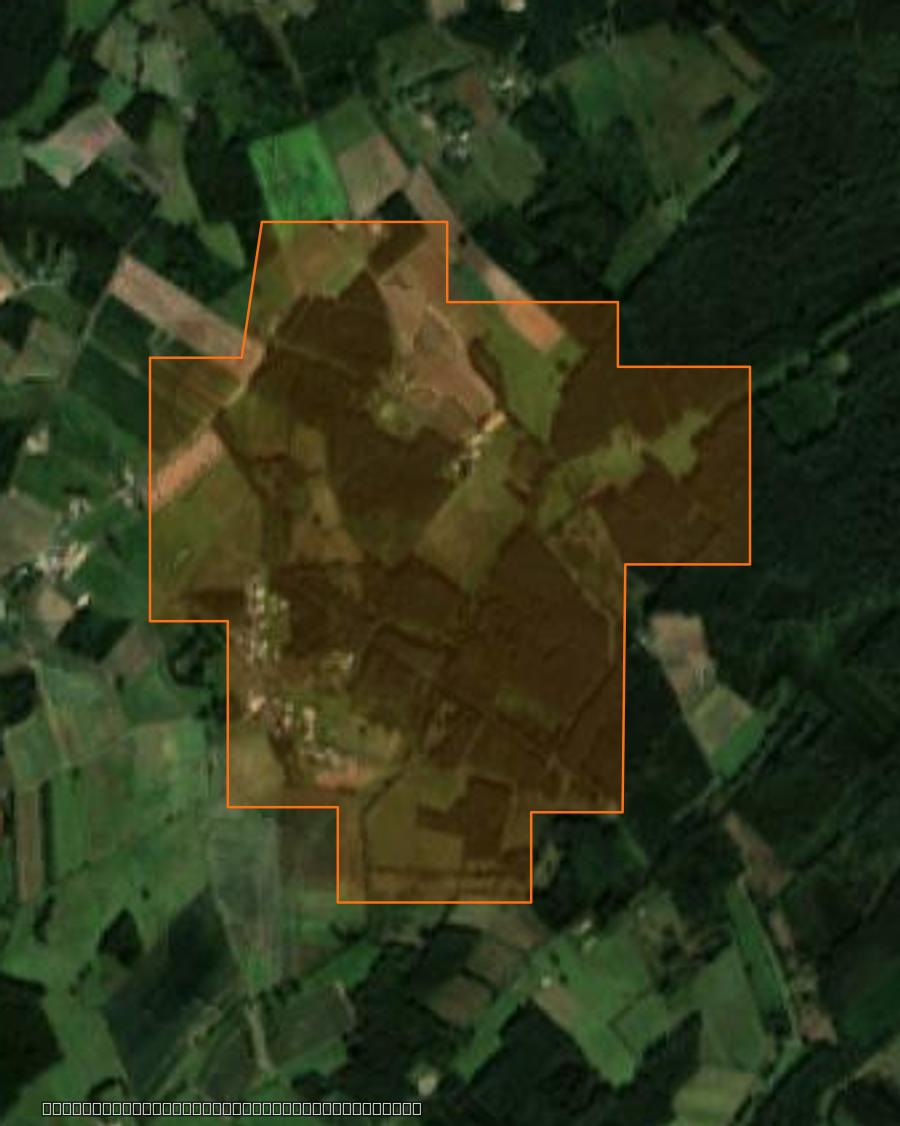 Outline of the burned area near Longué-Jumelles, drawn over satellite imagery