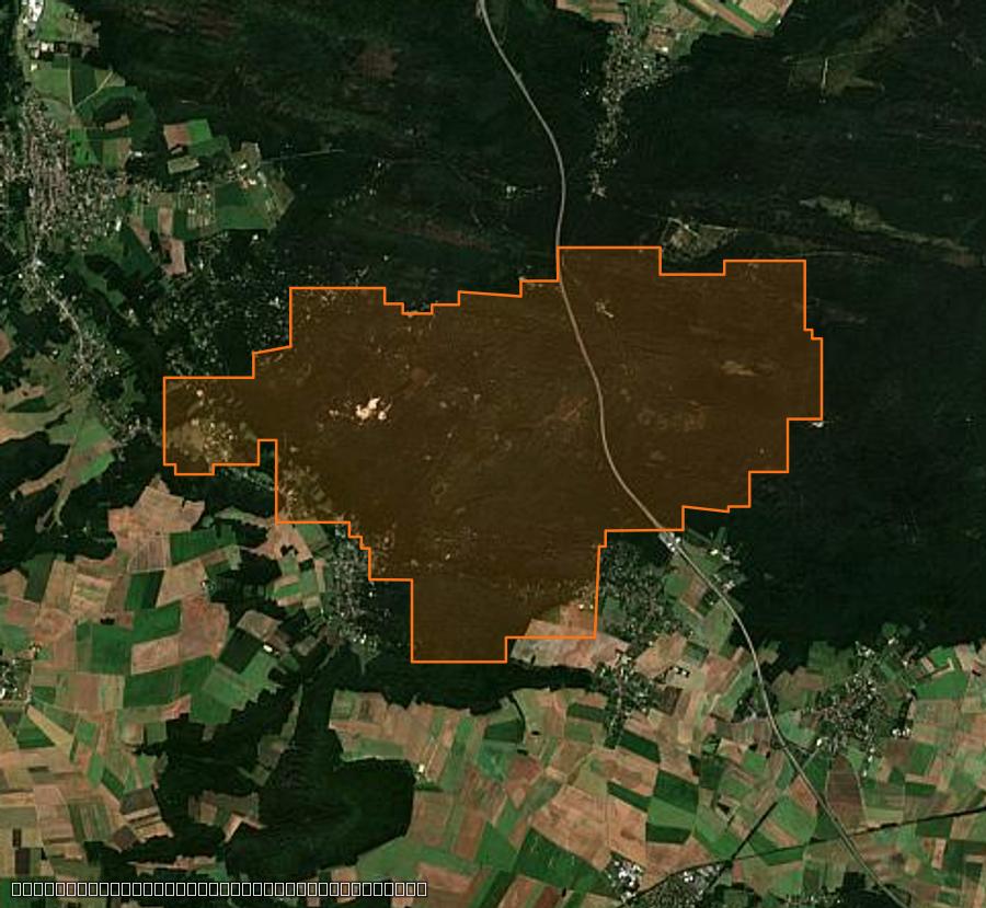 Outline of the burned area near Noisy-sur-École, drawn over satellite imagery