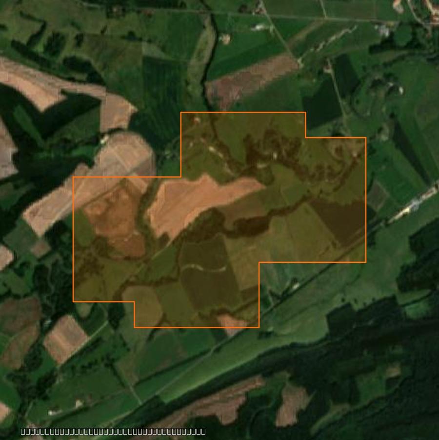 Outline of the burned area near Grandpré, drawn over satellite imagery