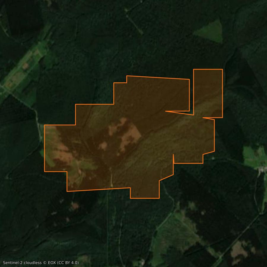 Outline of the burned area near Monthermé, drawn over satellite imagery