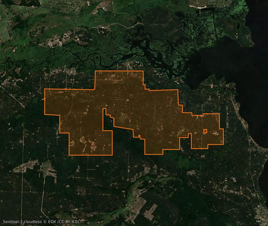 Outline of the burned area near Димерська селищна громада (UA), drawn over satellite imagery